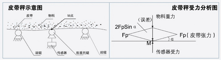 寧德皮帶秤 寧德皮帶秤